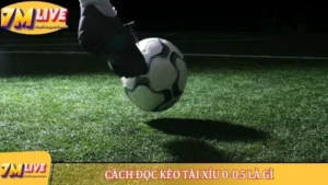 Kèo tài xỉu 0-0.5 là gì? Cách đọc tỷ lệ cược và tính tiền 12 Kèo tài xỉu 0-0.5 là gì