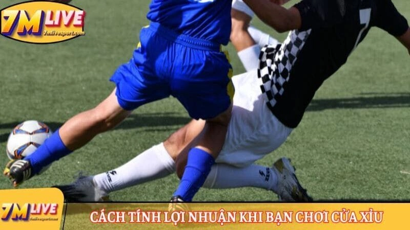 Kèo tài xỉu 1 trái - Kiến thức quan trọng khi cá cược 9 Cách tính lợi nhuận khi bạn chơi cửa Xỉu