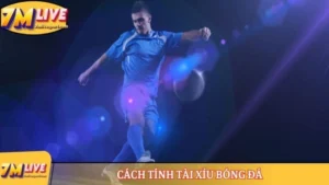 Cách tính tài xỉu bóng đá - Thông tin mới nhất từ 7M 13 Cách tính tài xỉu bóng đá