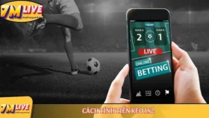 Kèo 1x2 là gì chinh phục mọi người chơi cá cược