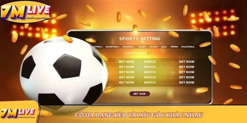 Kèo Tài Xỉu góc là gì? Cách tính tiền kèo cược siêu đơn giản 8 Có đa dạng kèo Tài Xỉu góc khác nhau