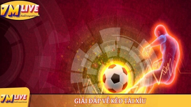 Cách tính tài xỉu bóng đá - Thông tin mới nhất từ 7M 7 Giải đáp về kèo tài xỉu