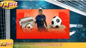 Kèo Tài Xỉu 3-3.5 là gì? Ví dụ minh hoạ về kèo cược hấp dẫn 15 Kèo Tài Xỉu 3-3.5 là gì