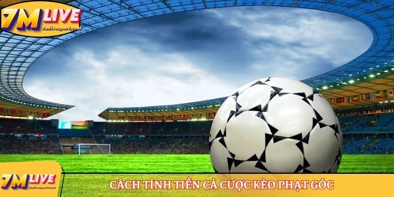 Kèo Góc siêu hấp dẫn, chinh phục 99% người chơi cá cược 9 Tham khảo cách tính tiền để tham gia cá cược kèo phạt góc