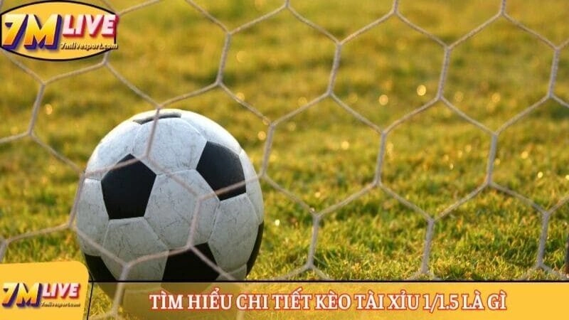 Kèo tài xỉu 1/1.5 là gì? Ví dụ và quy định tính tiền 7 Tìm hiểu chi tiết kèo tài xỉu 1/1.5 là gì
