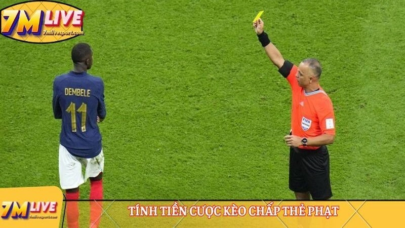 Kèo chấp thẻ phạt là gì? Ví dụ cách đọc và tính cược 8 Tính tiền cược kèo chấp thẻ phạt