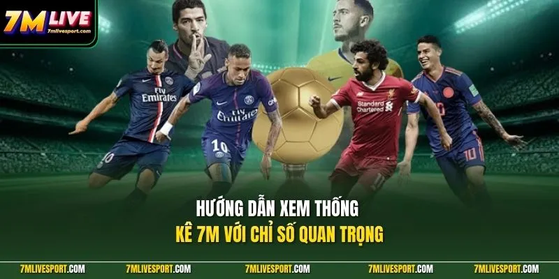 Hướng dẫn xem thống kê 7M với chỉ số quan trọng